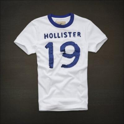 Hollister Men Shirts-384